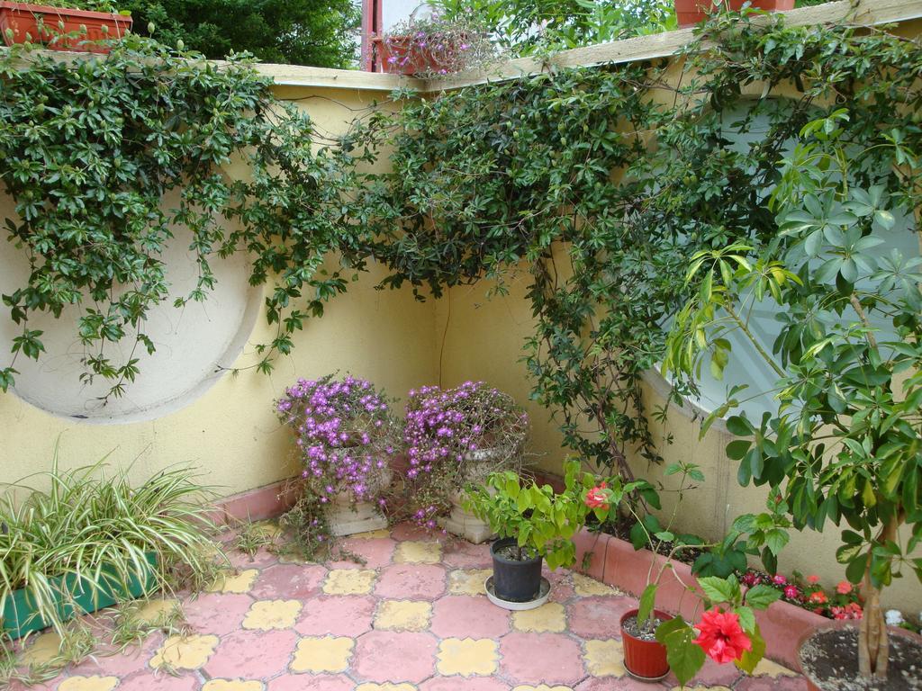 Stela Guest House Carevo Pokoj fotografie