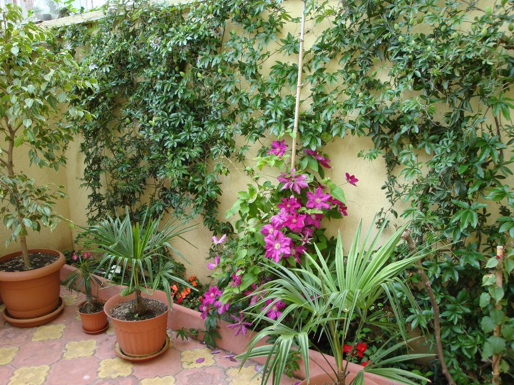 Stela Guest House Carevo Exteriér fotografie